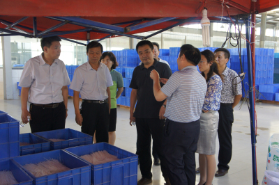 通许县**莅临国际人官网食品公司