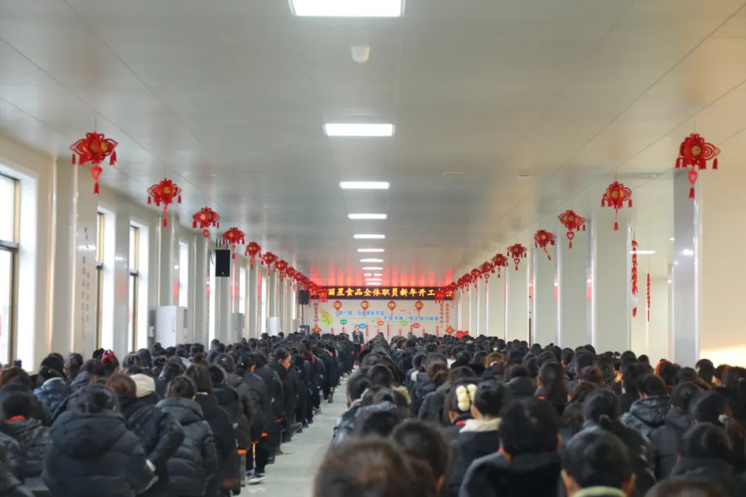 玉兔迎新春，，奋进新征程