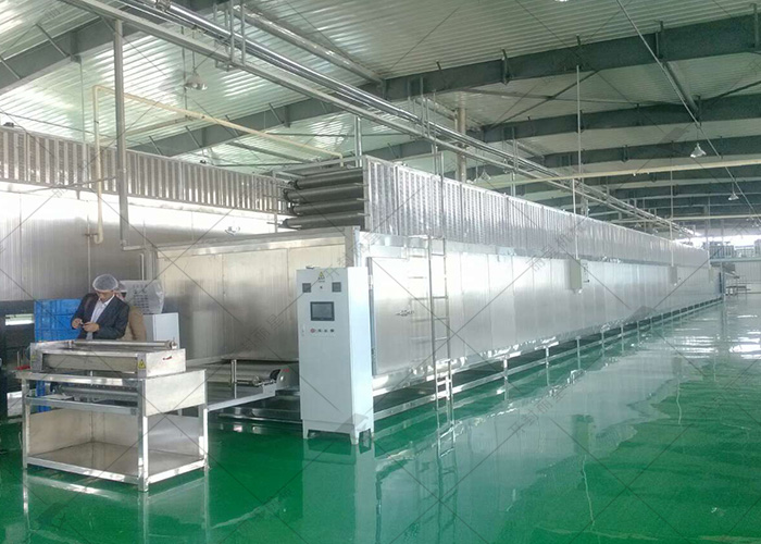 粉条加工厂升级刷新，，，都从哪几点动手？